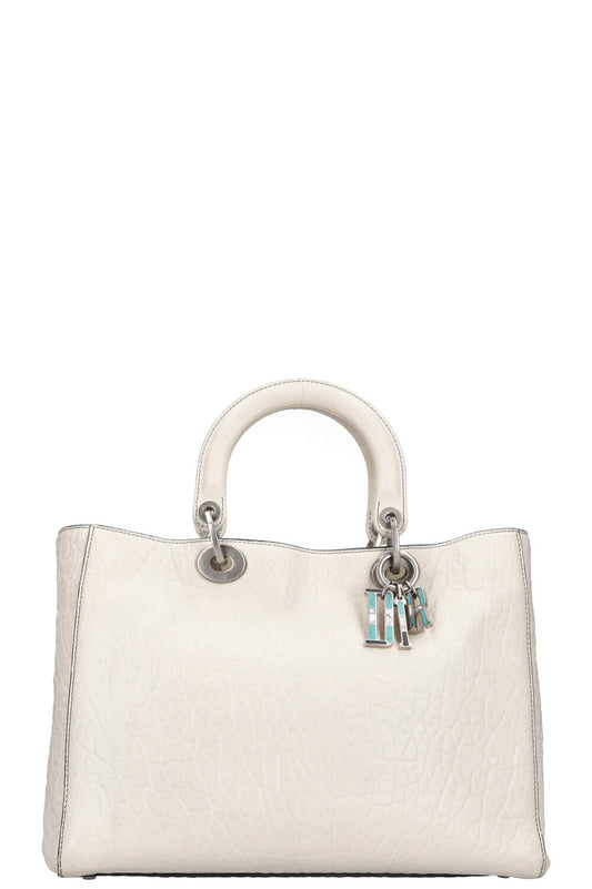 Dior Handbag Lady Canyon Bag