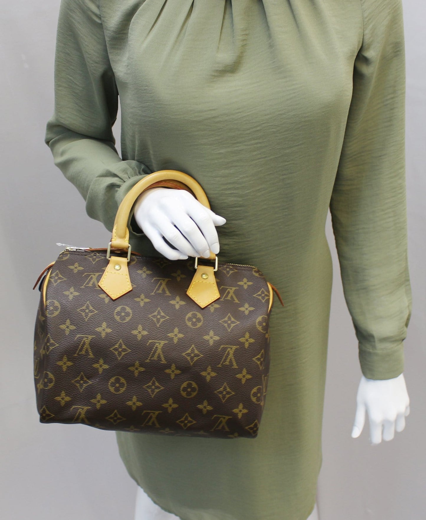 Louis Speedy Satchel Handbag Canvas Monogram Travel Bag Handbag E4384