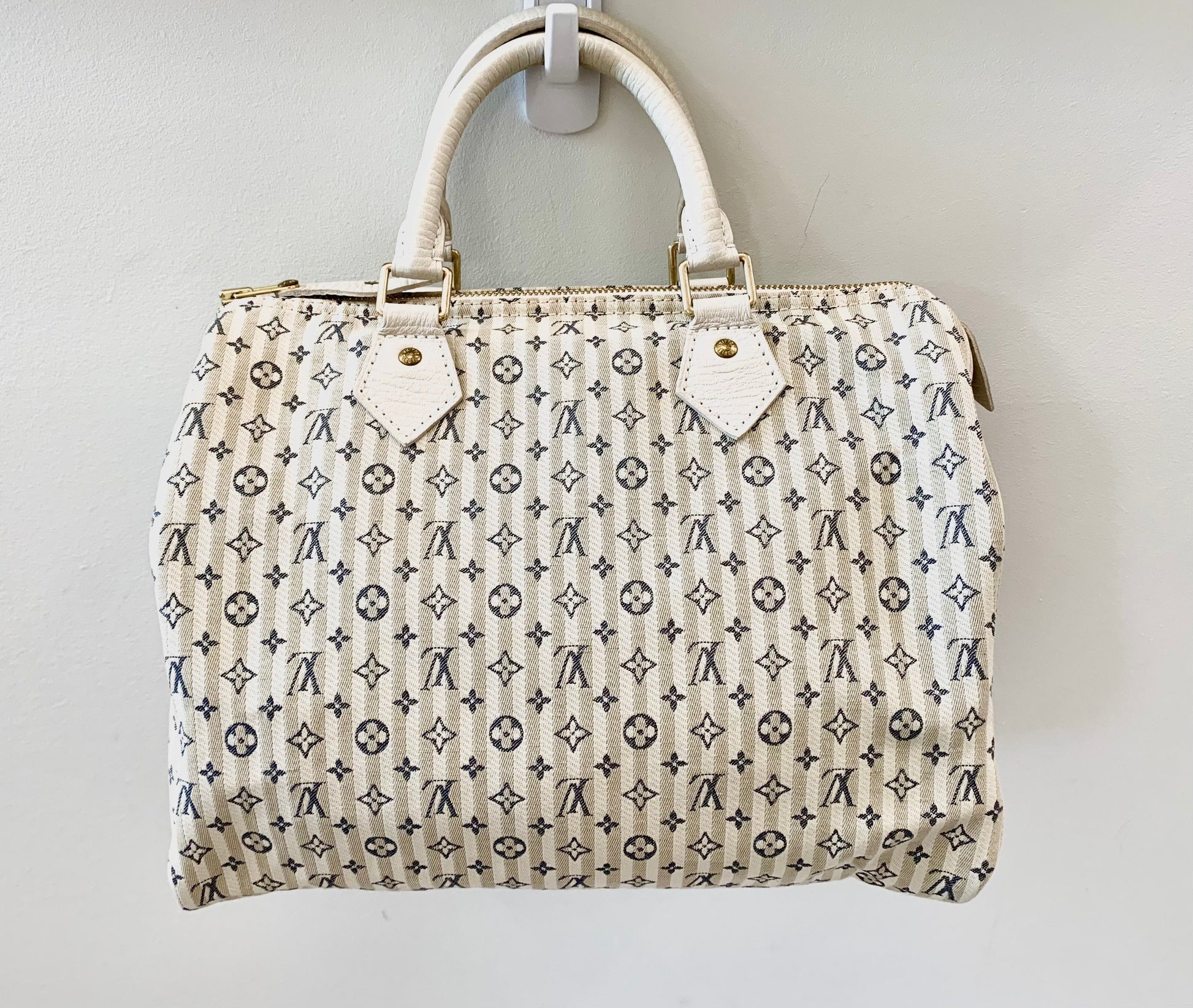 Louis Vuitton LIN SPEEDY 30 Monogram Mini Bag