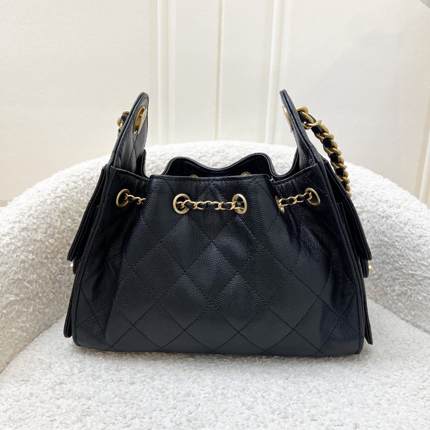 25 Mini Hobo Bag in Black Caviar and AGHW (Model: ) Classic