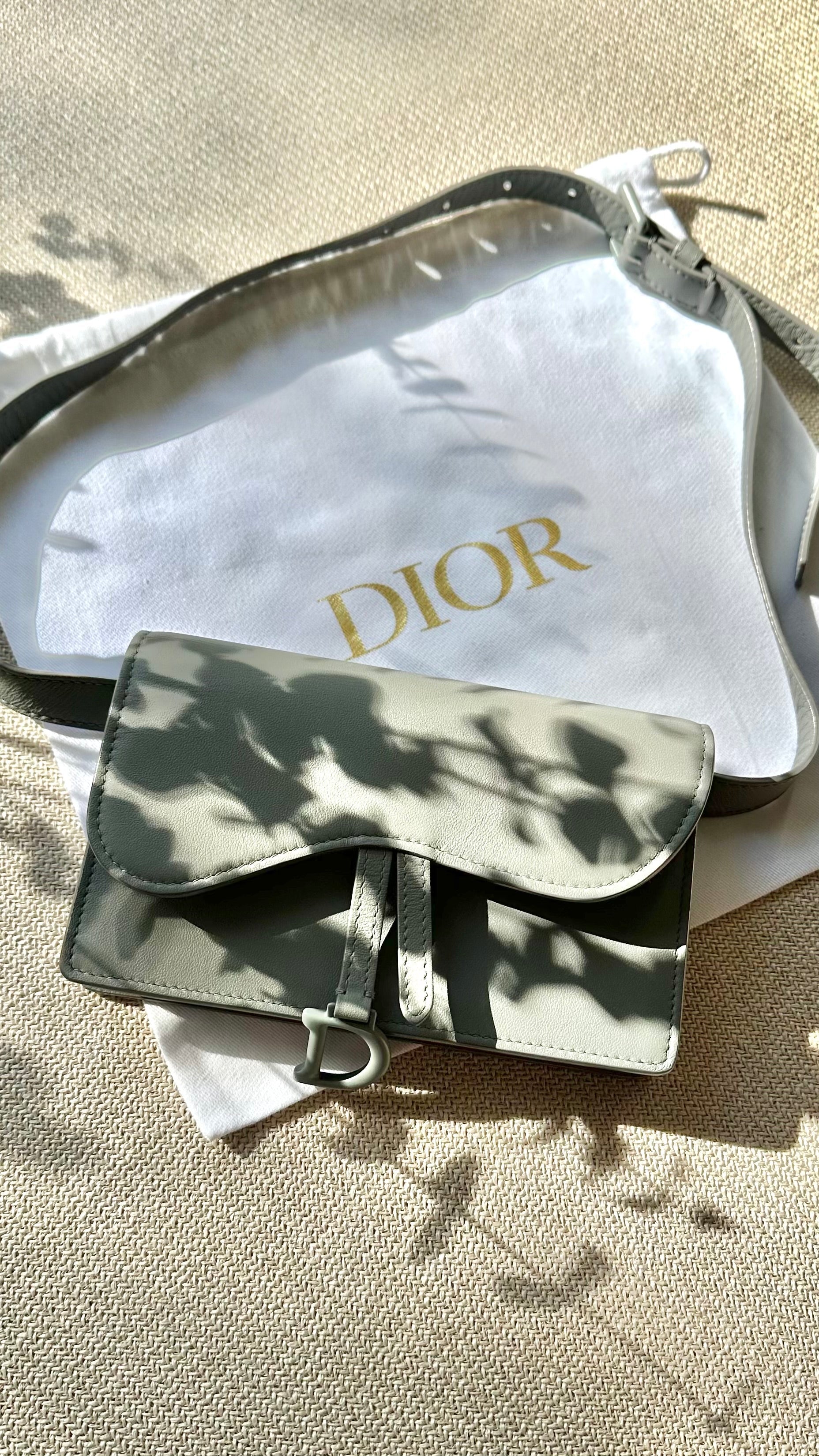 Dior Crossbody Bag Saddle Rectangular Belt Bag Blue