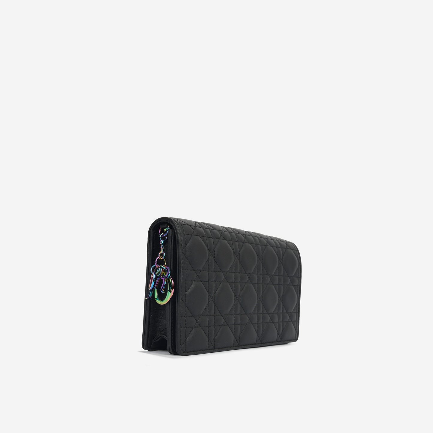 Dior Christian Lady Pouch Matte Crossbody Bag Black Matte Black Rbhw