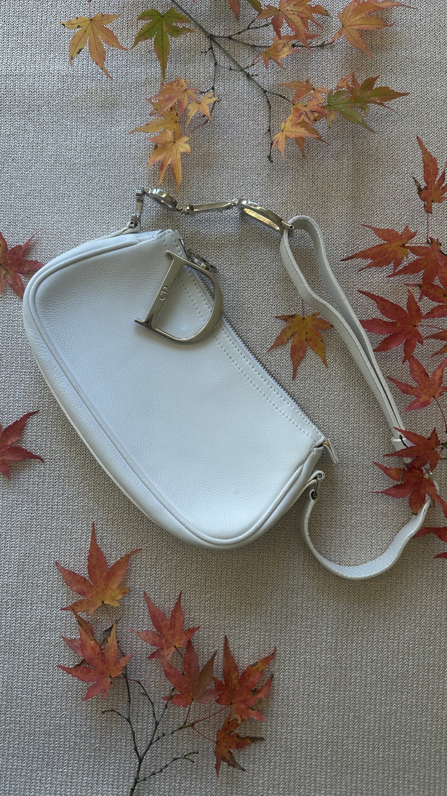 Dior Pochette Leather White Logo Handbag