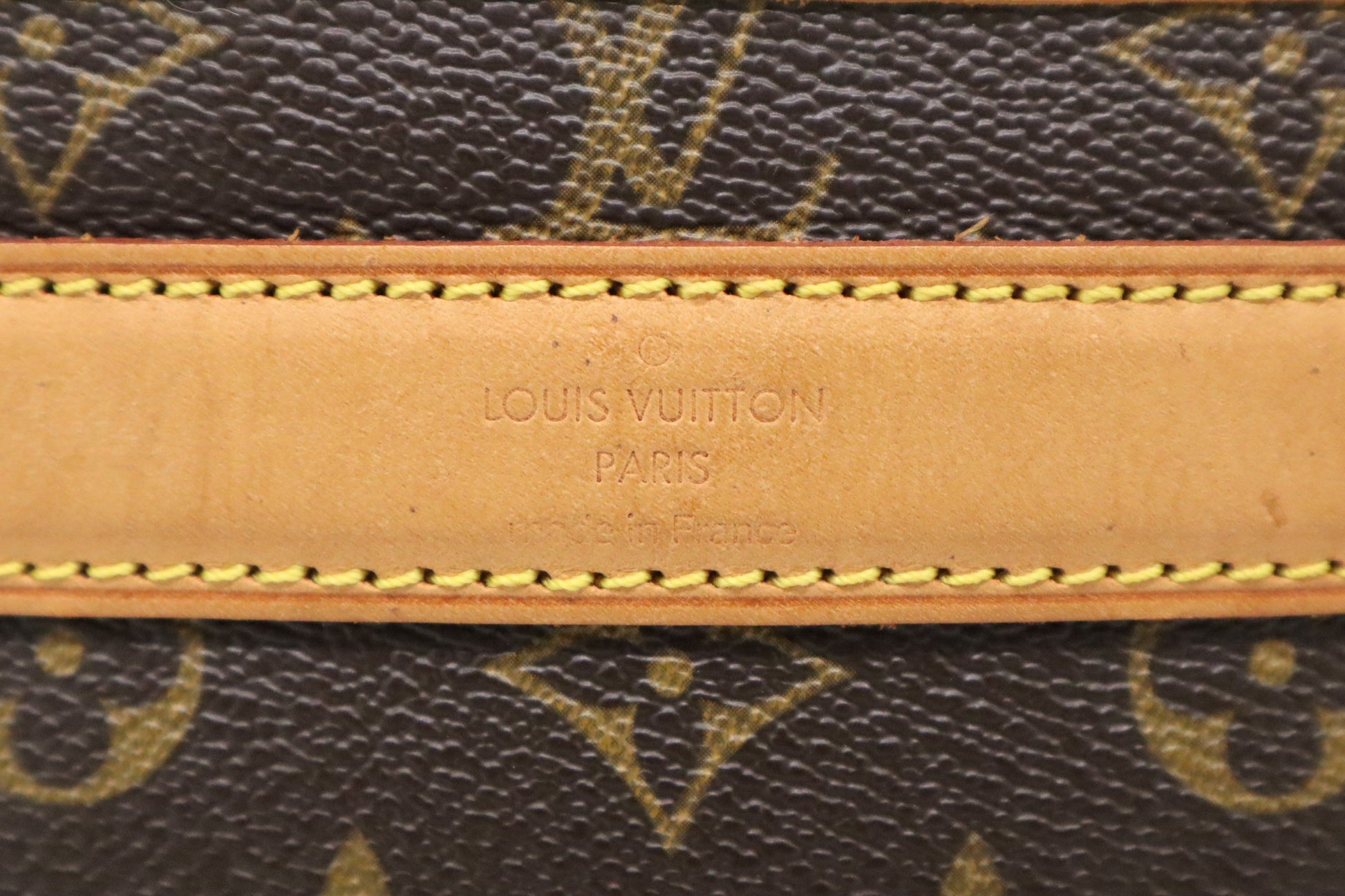 Louis Vuitton Sac Chien 40 Monogram Canvas Handbag