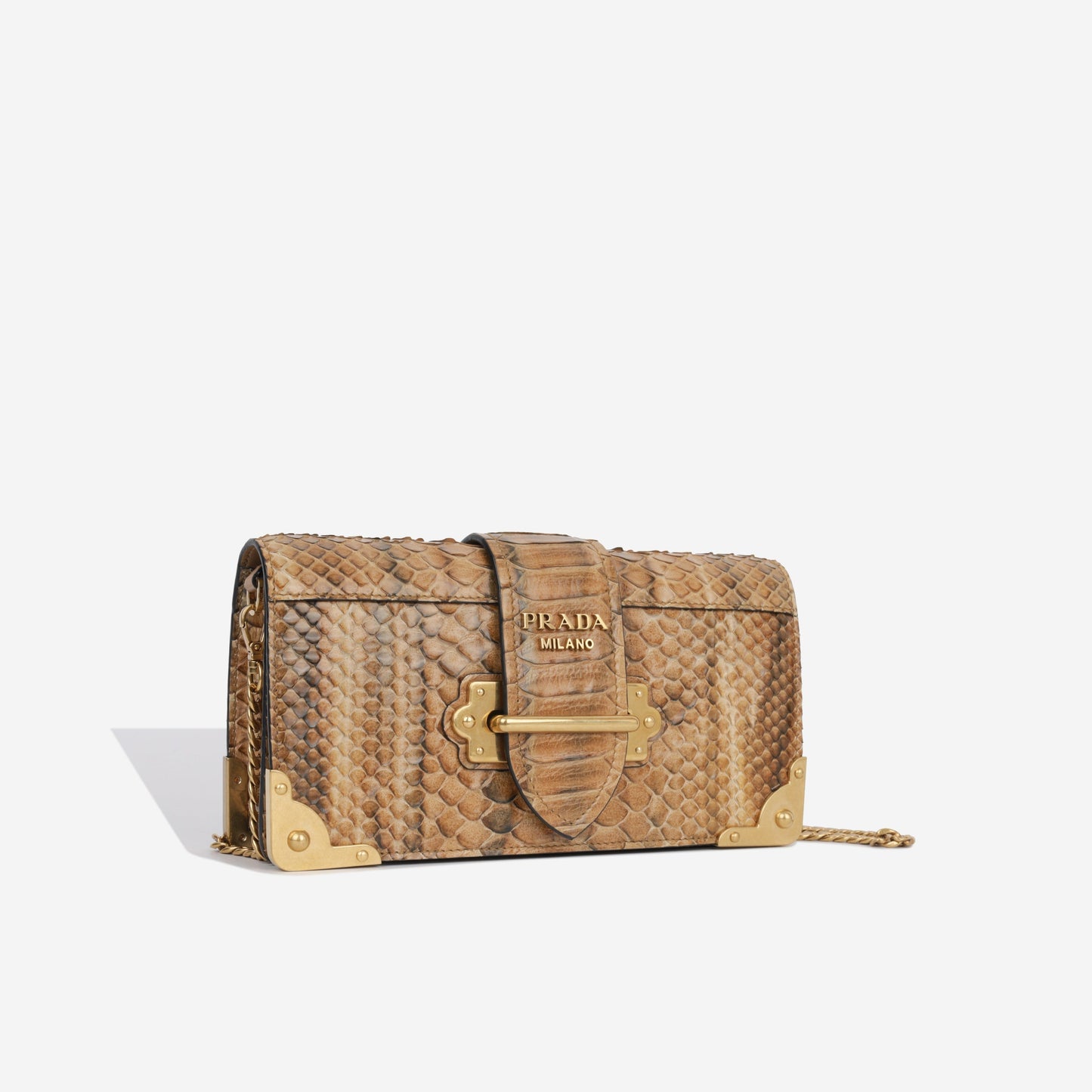 Prada Cahier Clutch Python Clutch Bag