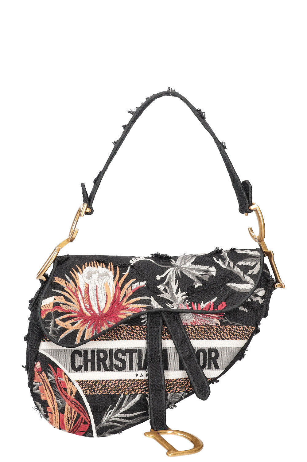 Dior Saddle Bag Cavnas Brown Handbag