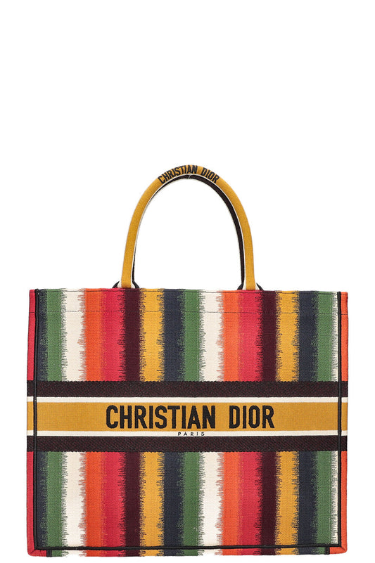 Dior Tote Bag Book Tote Striped Multicolor