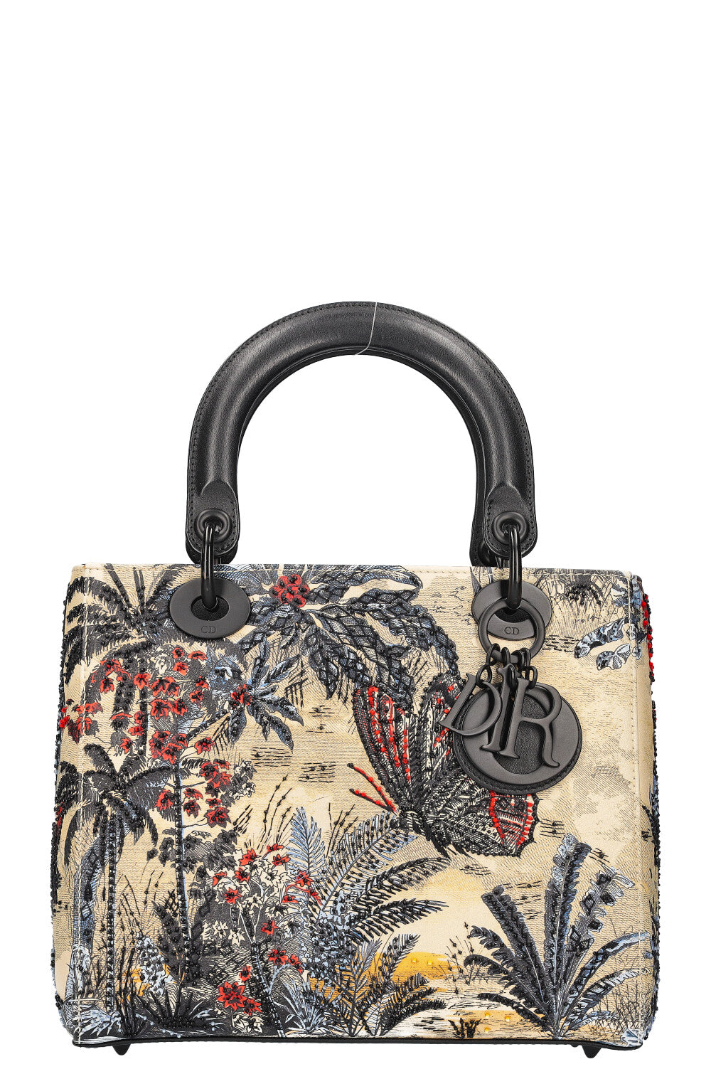 Dior Handbag Lady Bag Multicolor Medium