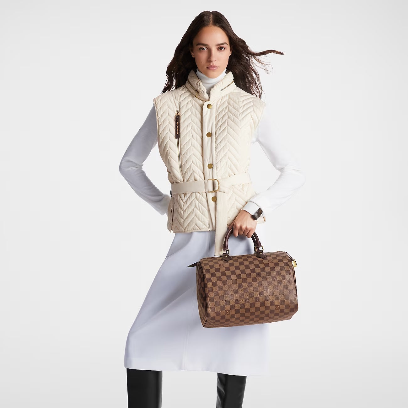 Louis Vuitton EBENE SPEEDY 30 Damier Handbag