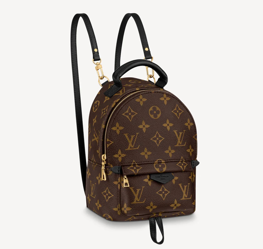 Louis Vuitton PALM SPRINGS BACKPACK Monogram Jewelry Backpack 1