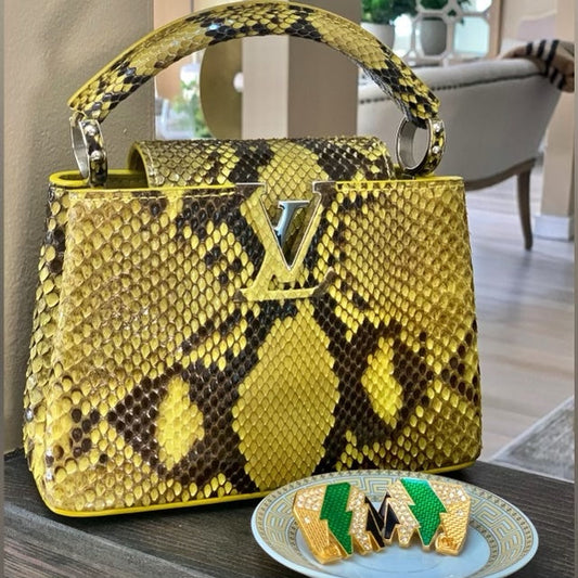 Louis Vuitton PYTHON Hat