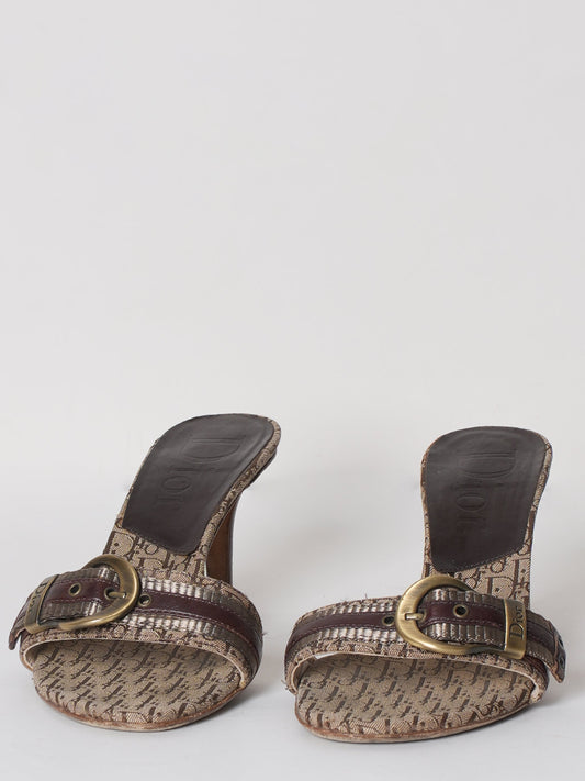 Dior Shoe Slide Buckle Sandal Shoes