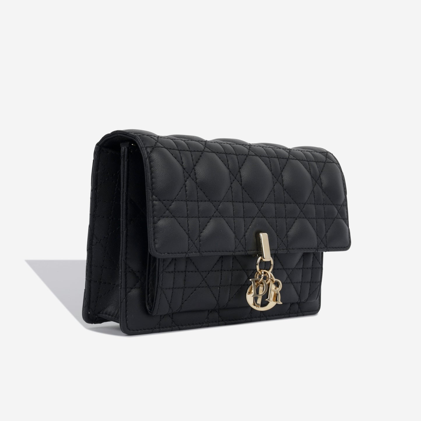 Dior Christian Lady Pouch Crossbody Bag Chain