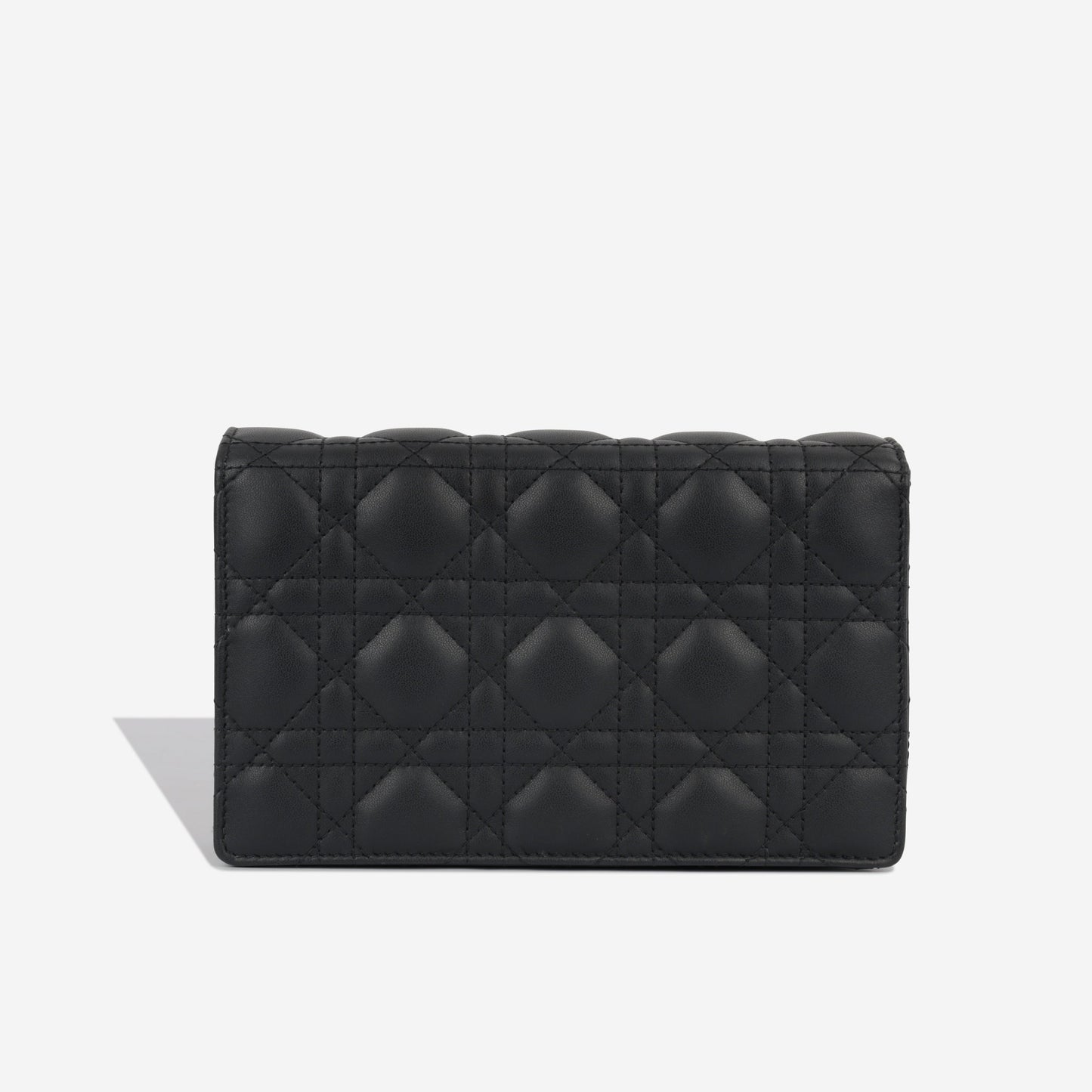 Dior Christian Lady Pouch Crossbody Bag Chain