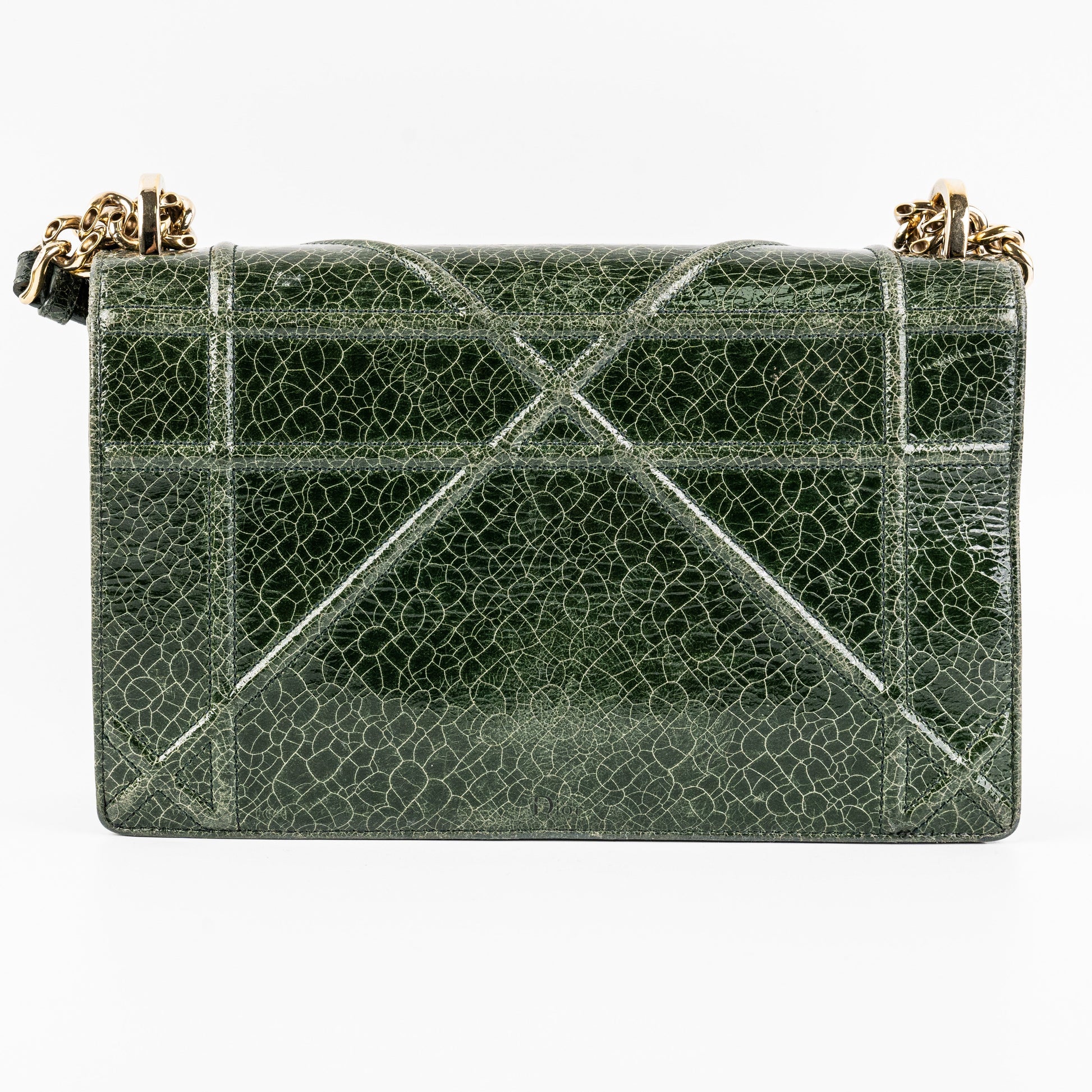 Dior Christian ama Bag Green Medium Crossbody Bag