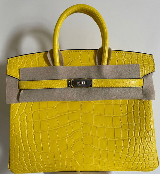 Hermes Mimosa Matte Alligator Birkin Palladium Hardware Handbag Travel Bag