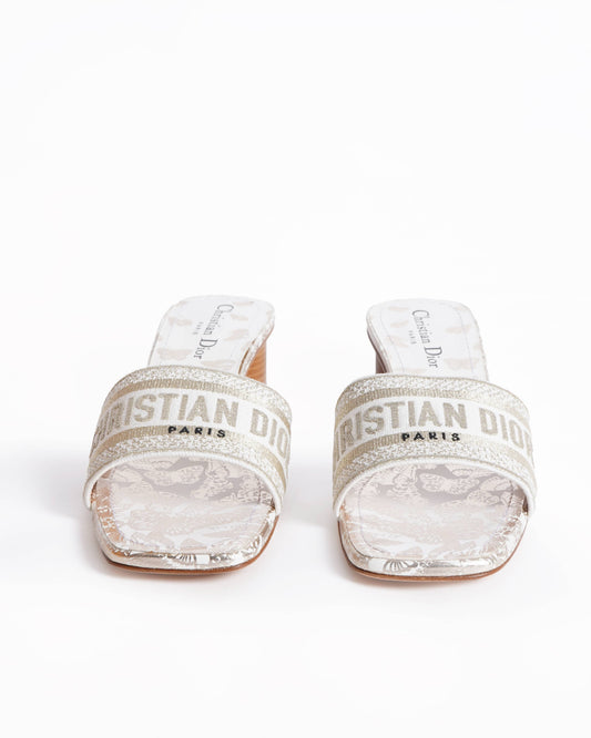 Dior Shoe Christian Dway cloth mules Shoes