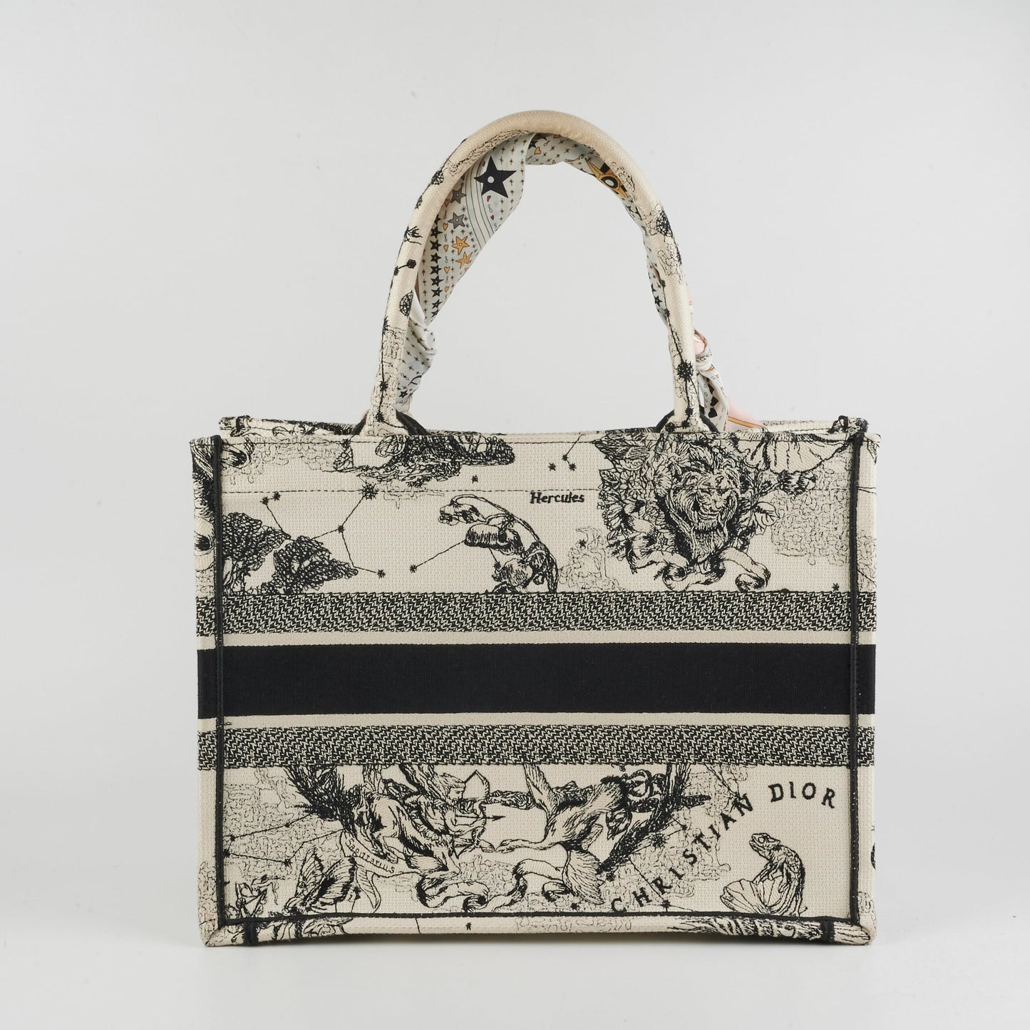 Dior Book Tote Latte Medium Tote Bag