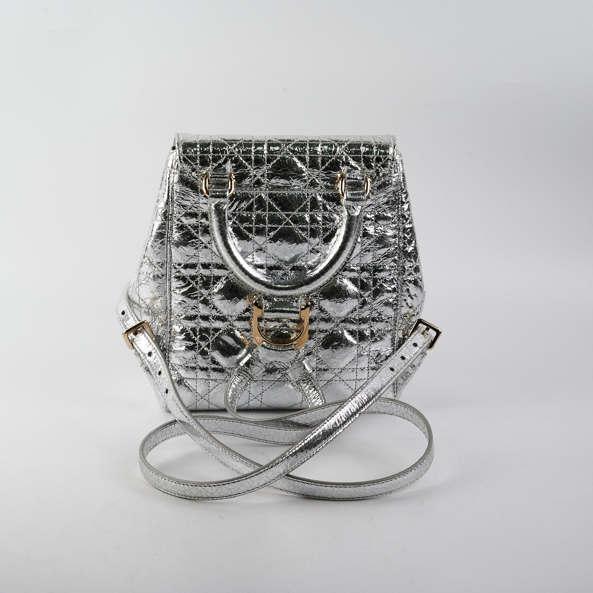 Dior Backpack Silver