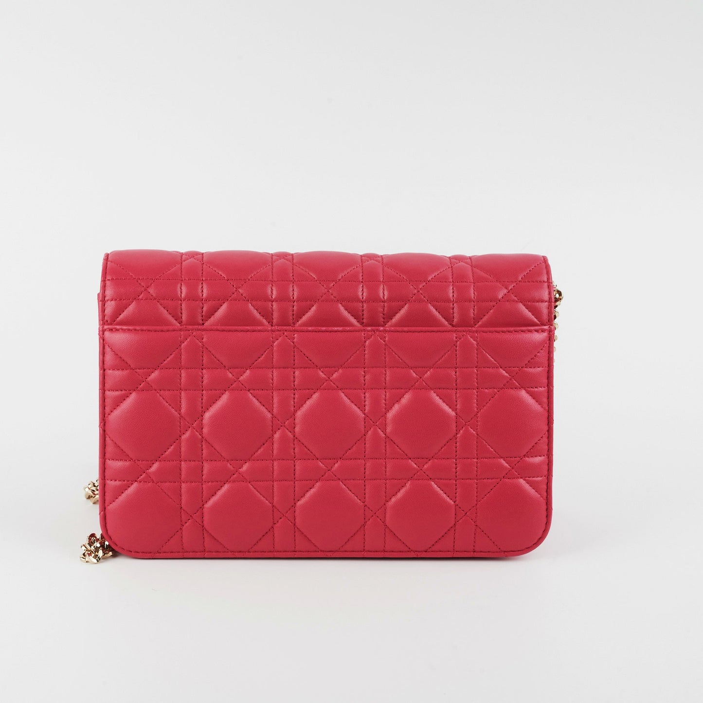 Dior Christian Promenade Crossbody Bag Pink