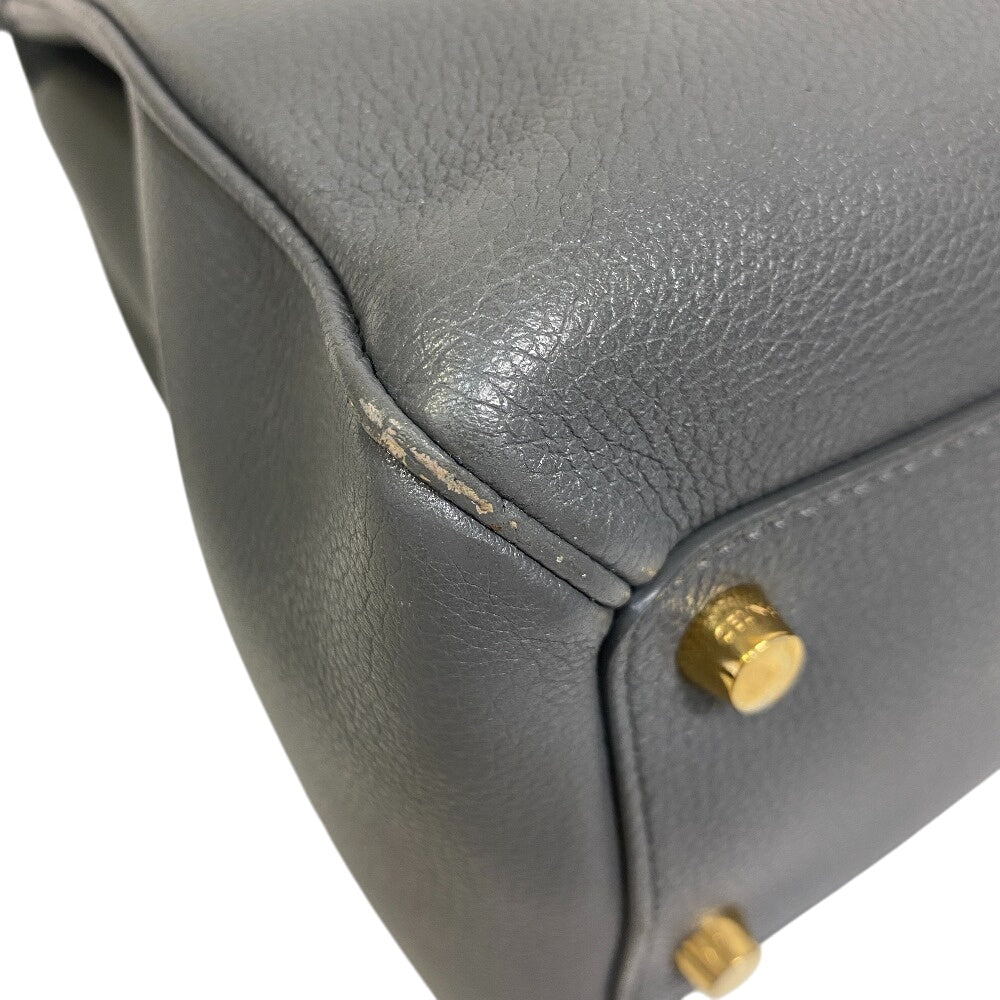 Satined Calfskin Gray Way Seeds Women Leather Travel Bag