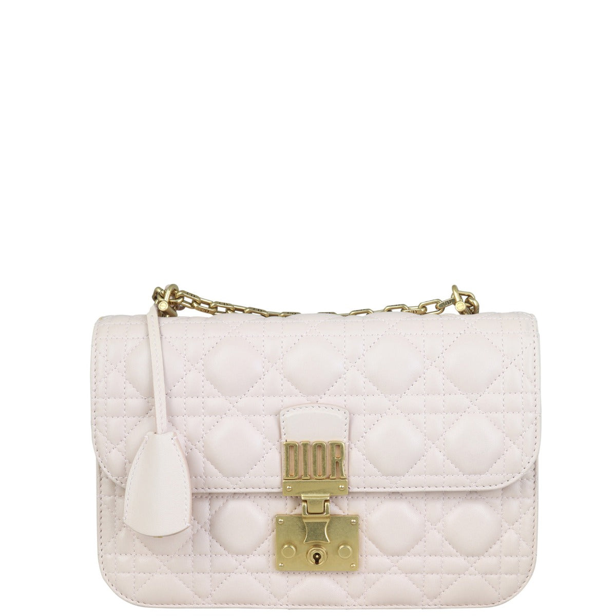 Dior addict Bag Medium Flap Travel Bag