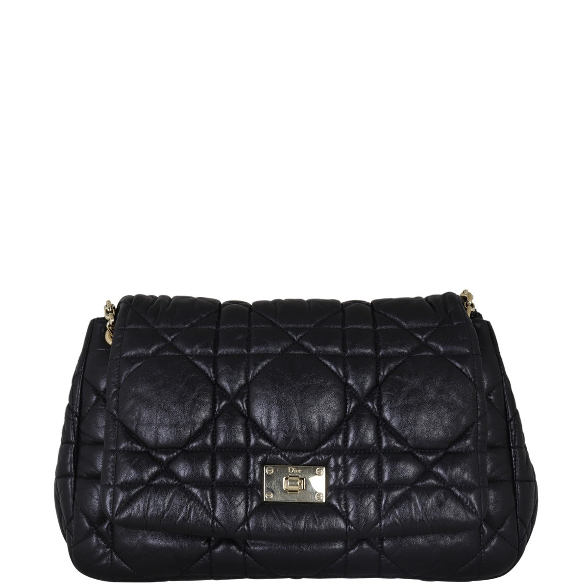 Dior Milly La Foret Cannage Bag Travel Bag