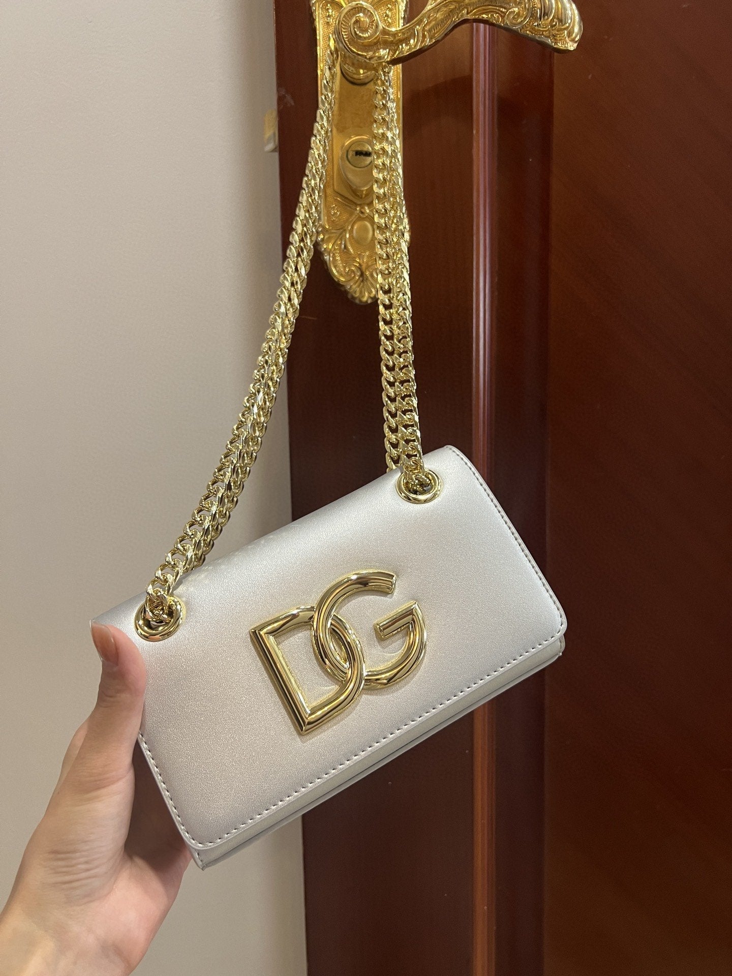 Polished Phone Silver Travel Bag