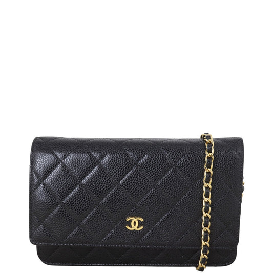 Chanel Classic Wallet on Handbag Chain Crossbody Bag