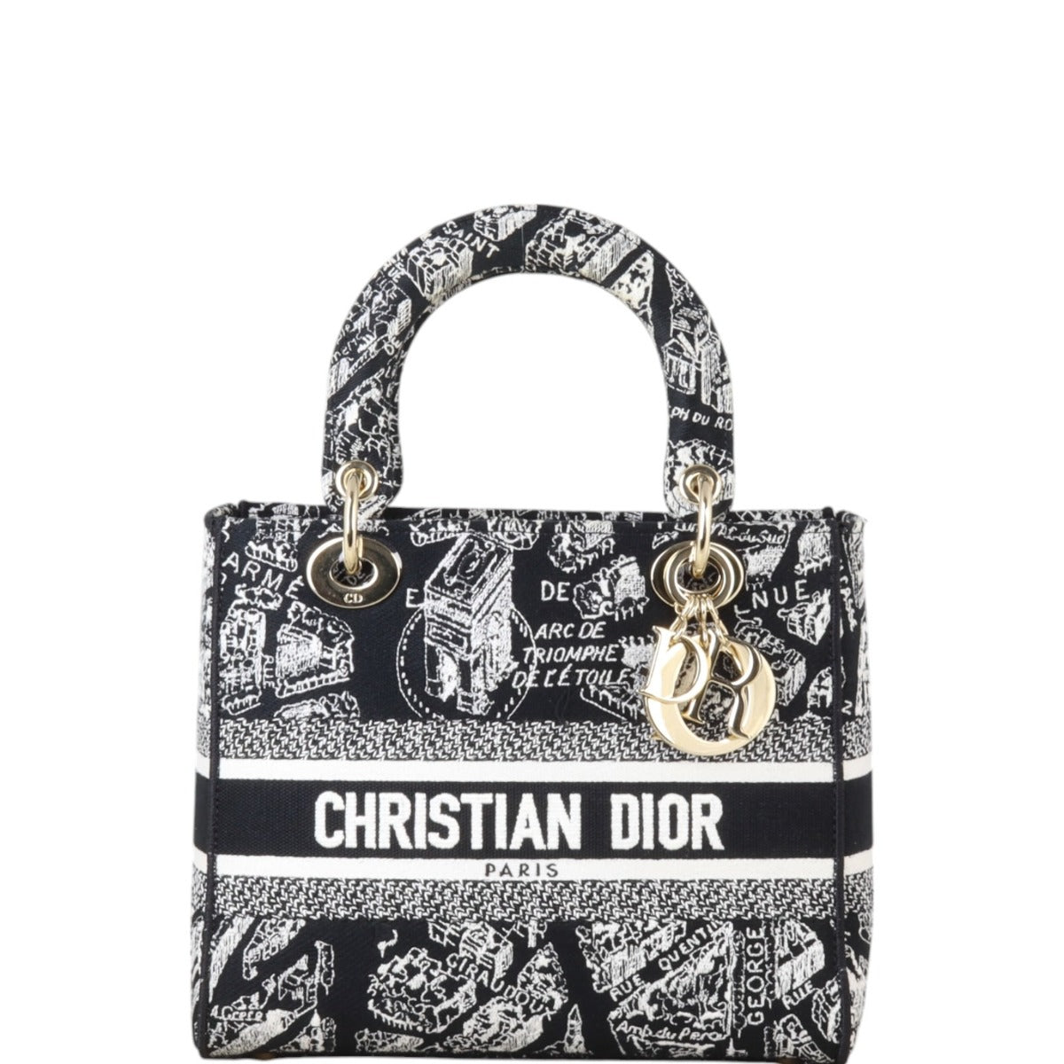 Dior Lady D Lite Plan De Paris Handbag Medium Travel Bag