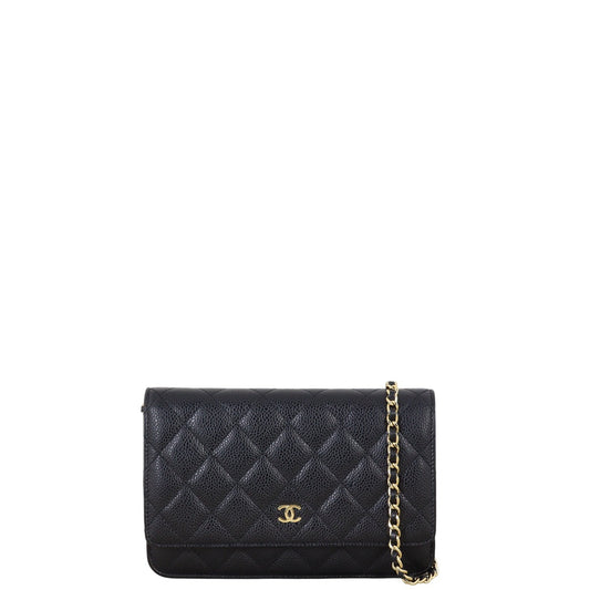 Chanel Classic Wallet on Handbag Quilted Chain Crossbody Bag