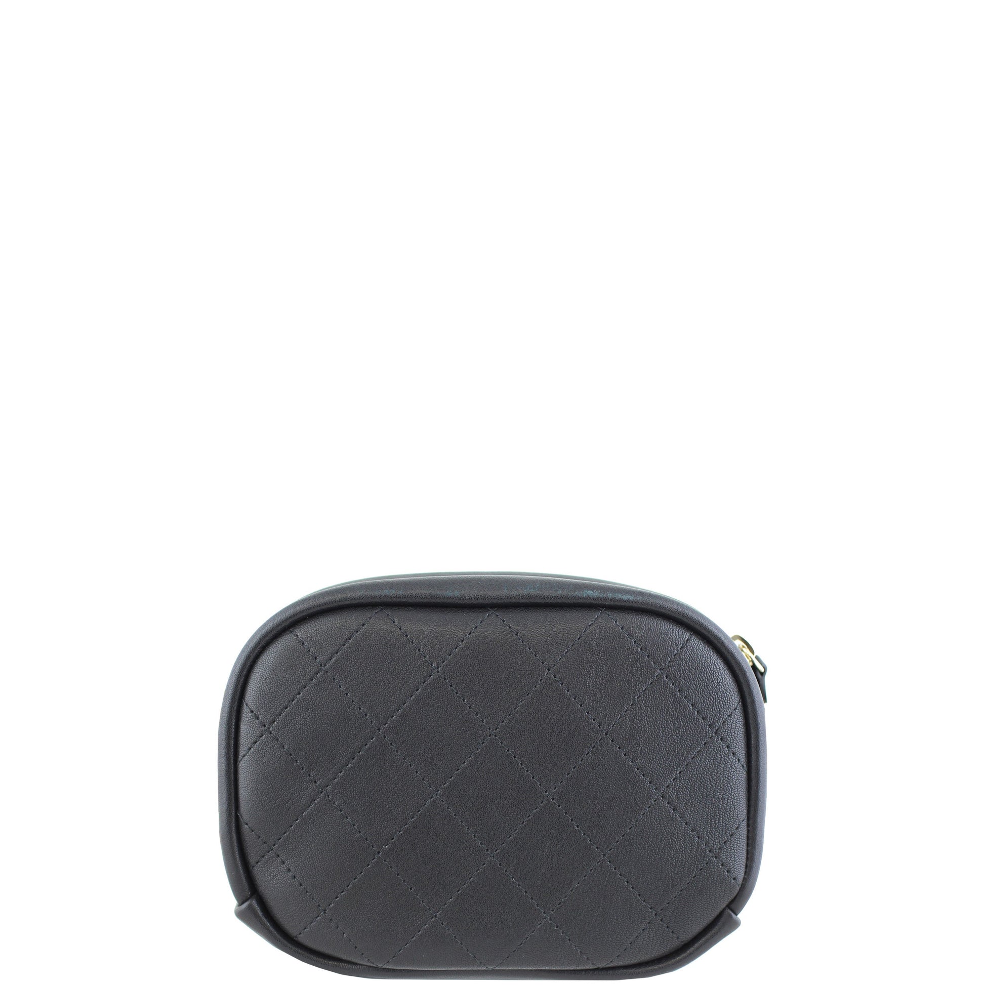 Chanel Classic Camera Case Handbag