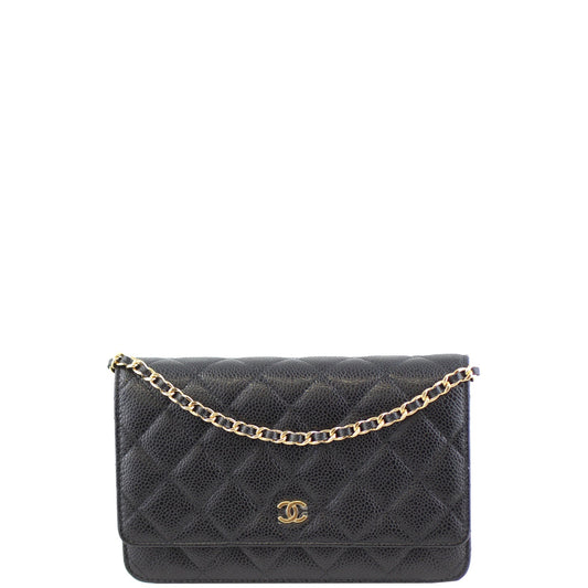 Chanel Classic Wallet on 23 Series Handbag Chain