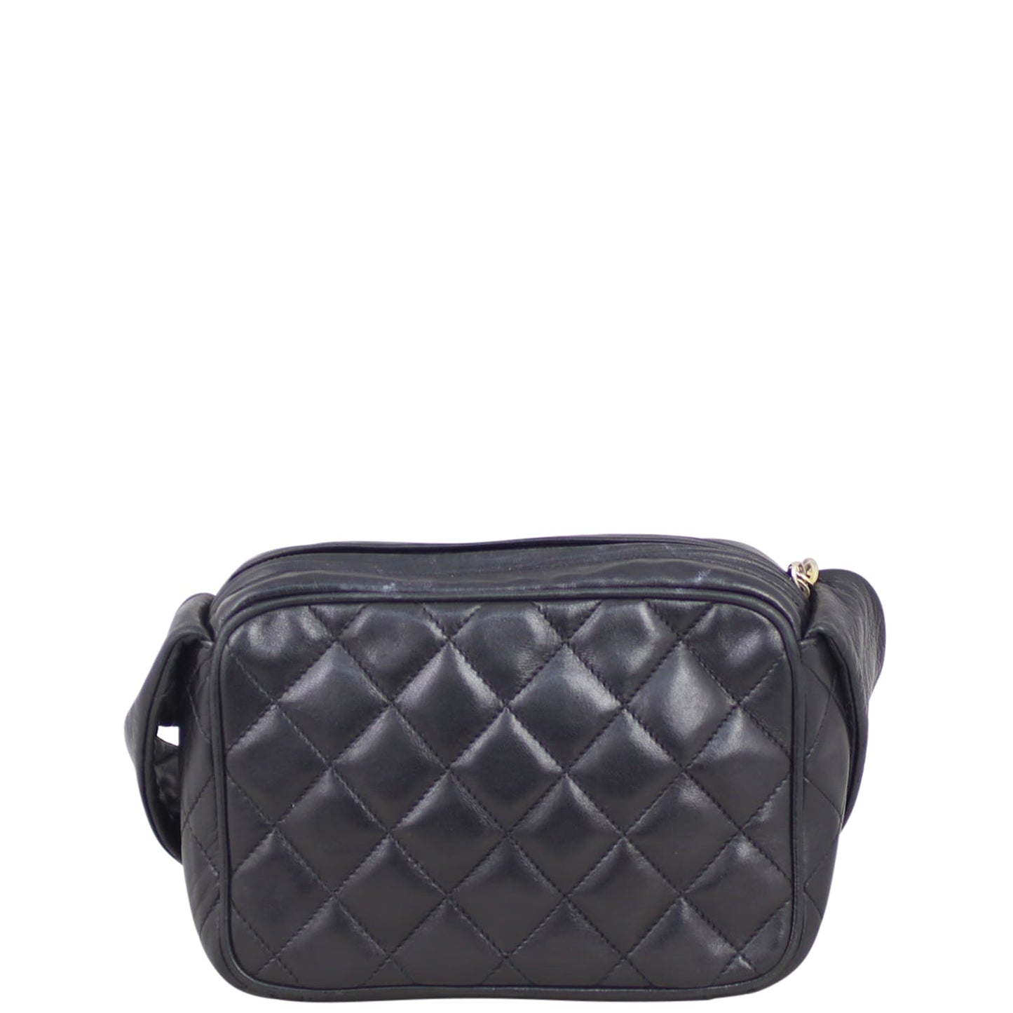 Chanel Camera Bag Quilted Handbag