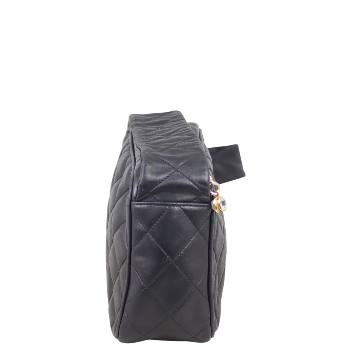 Chanel Camera Bag Quilted Handbag
