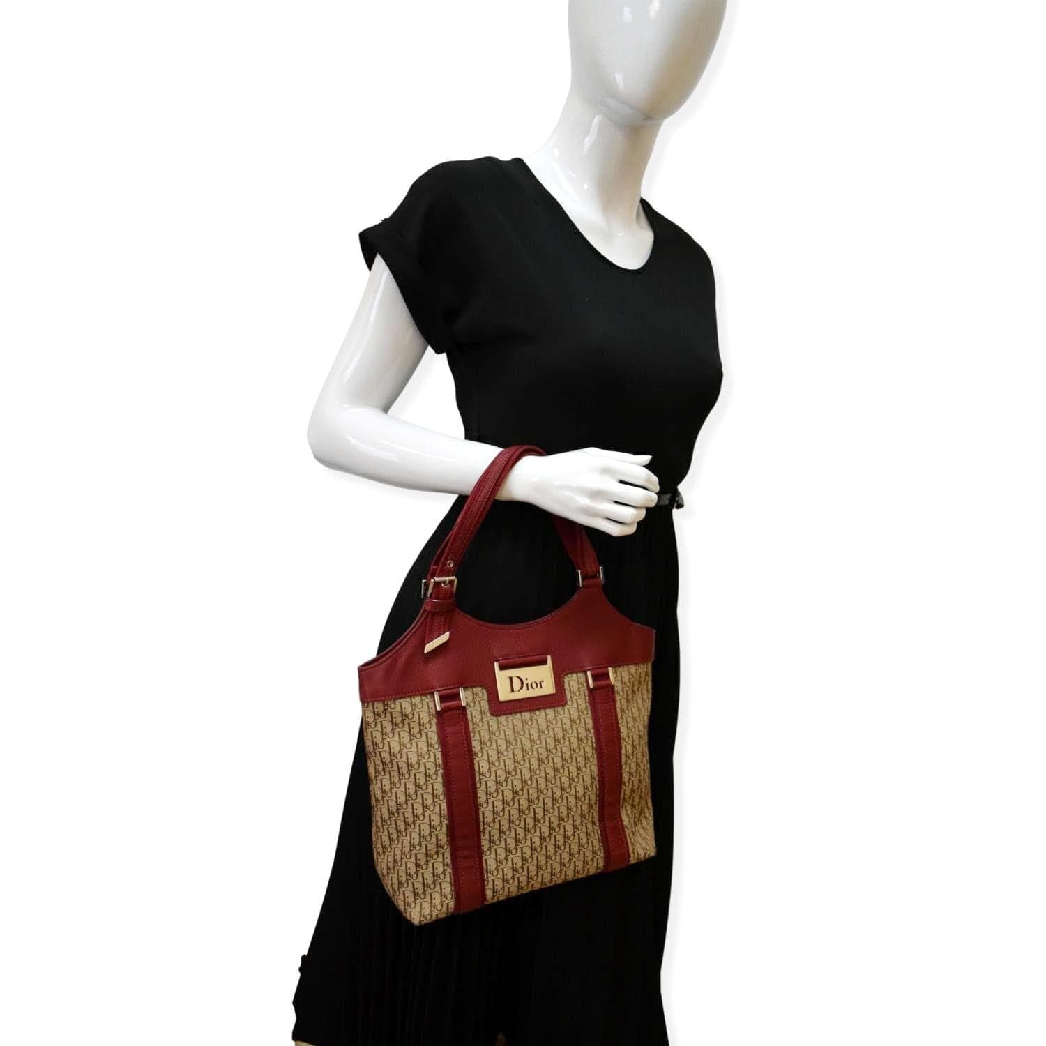 Dior Street Chic Trotter Tote Bag Canvas Monogram Brown