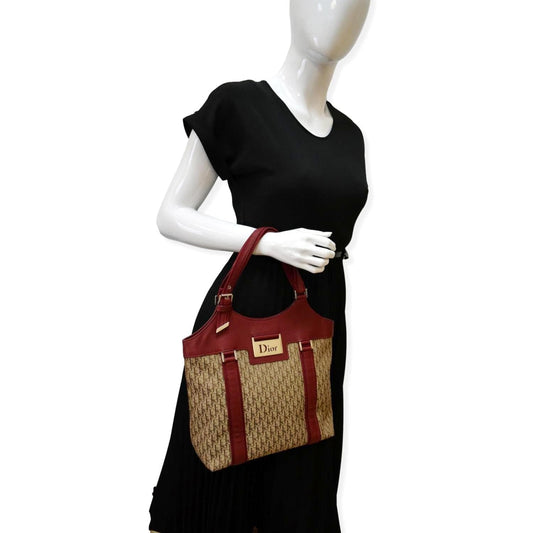 Dior Street Chic Trotter Tote Bag Canvas Monogram Brown