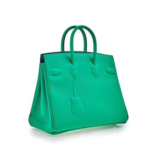 Hermes Luxury Birkin Shadow Bag Menthe Swift Leather Travel Bag