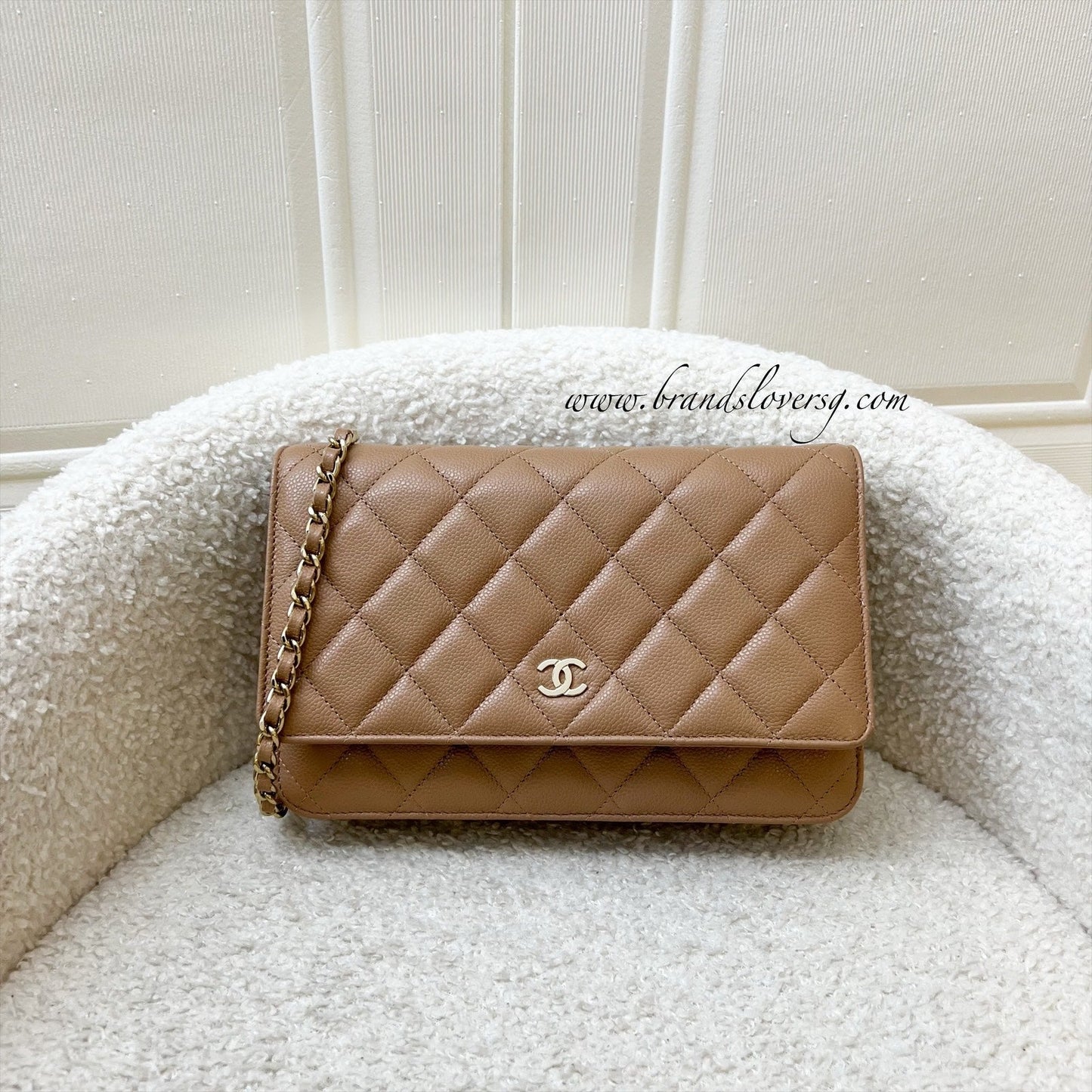Chanel Classic Wallet on Chain WOC in Dark Beige Caviar and LGHW (Model: ) Bag