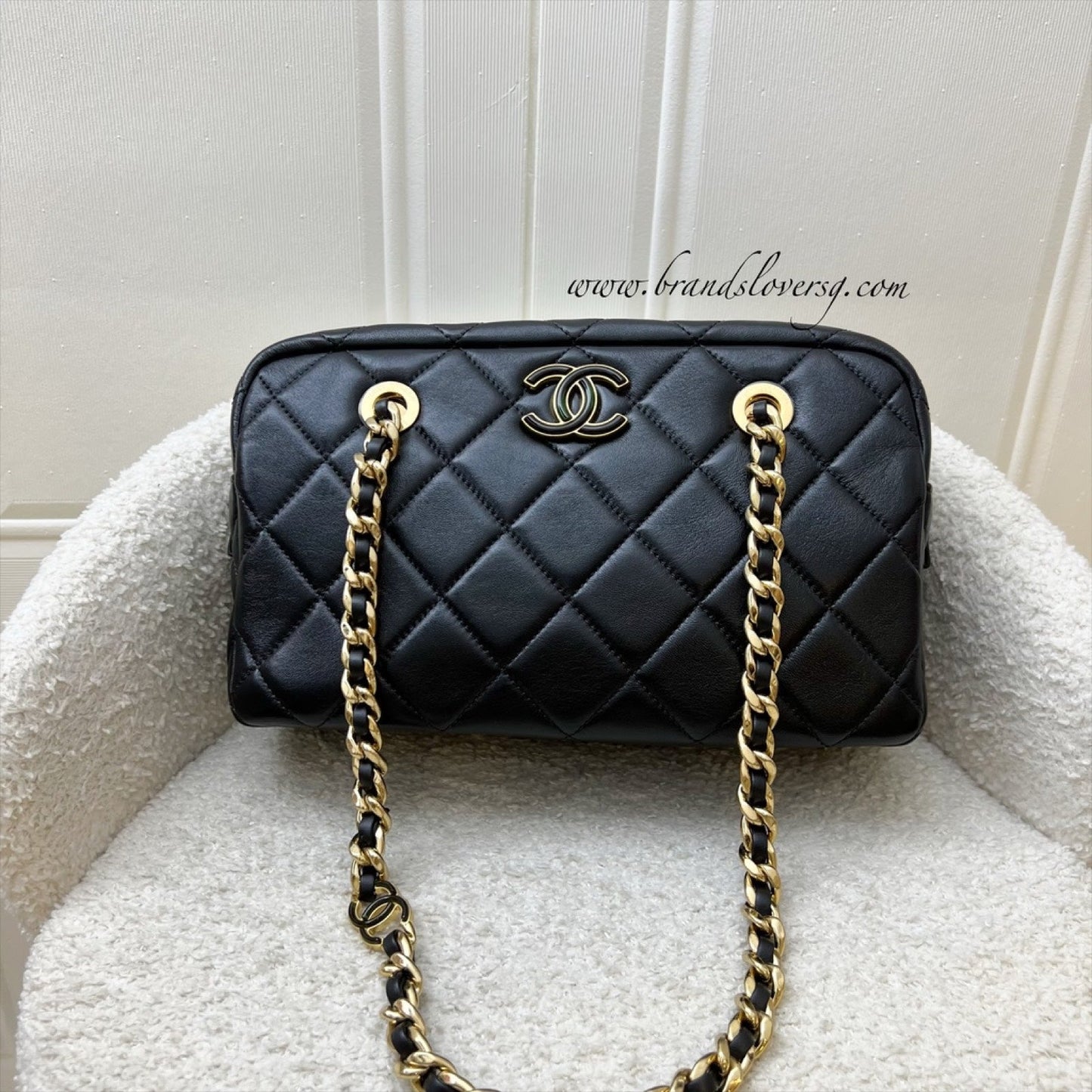 Chanel Camera Shoulder Bag in Black Calfskin and AGHW