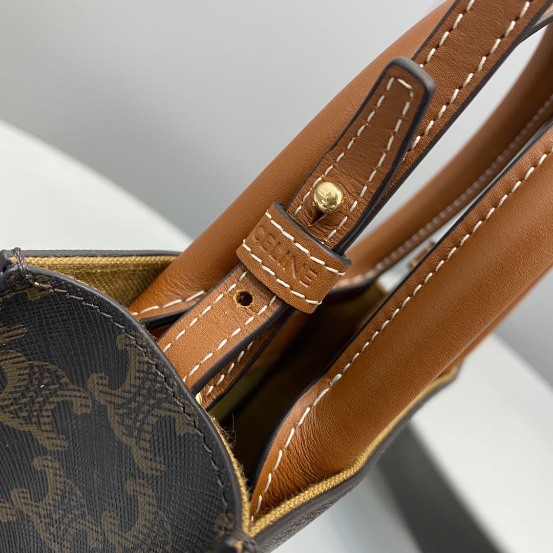Top Quality Vertical Cabas In Triomphe For Canvas Brown Travel Bag 194372Bzk04Lu 8159