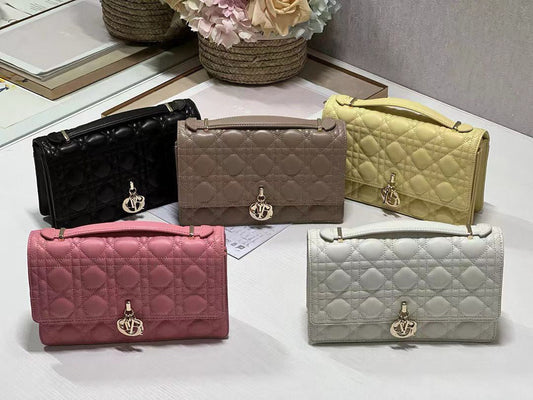 5 Color Handbag