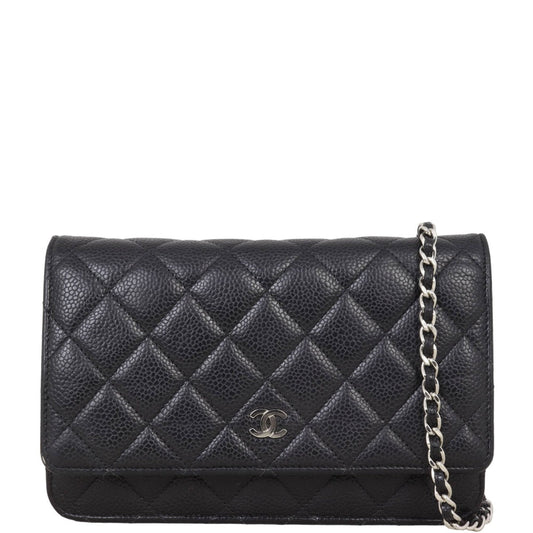 Chanel Classic Wallet on Hardware Handbag Silver Chain