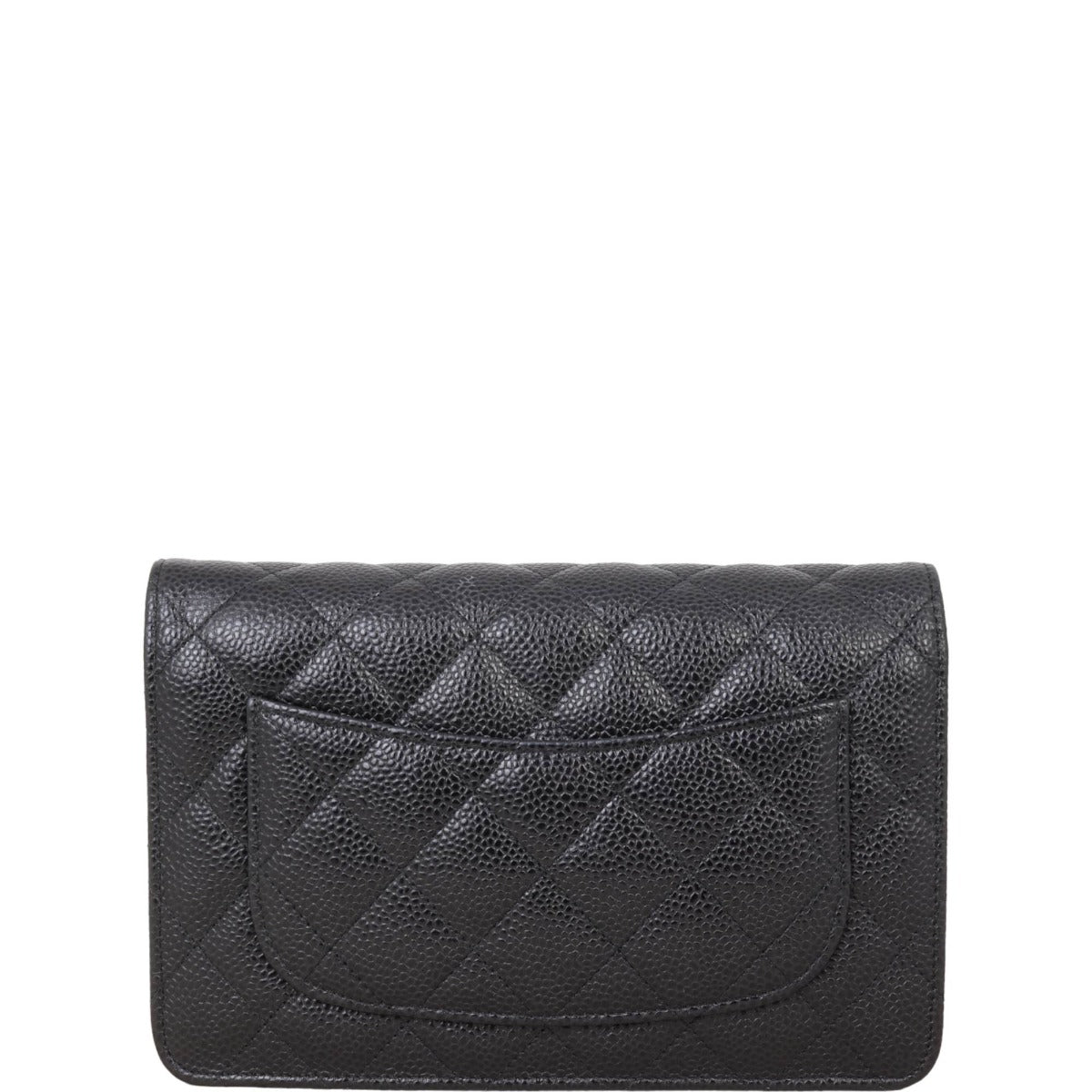 Chanel Classic Wallet on Hardware Handbag Black Silver