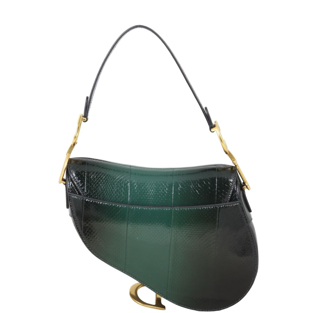 Dior Saddle Bag Python Travel Bag