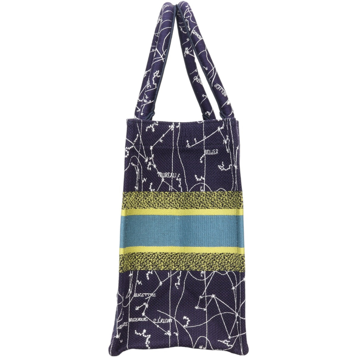 Dior Book Tote Constellation Handbag Medium Tote Bag