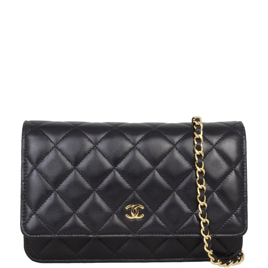 Chanel Classic Wallet on GHW Handbag Chain