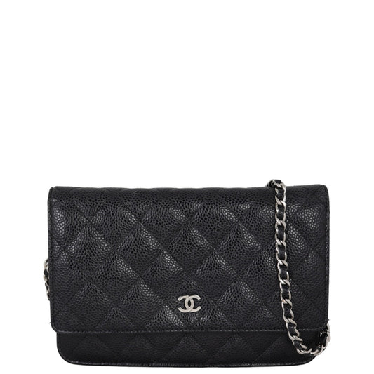 Chanel Classic Wallet on Tone Hardware Handbag Silver Chain