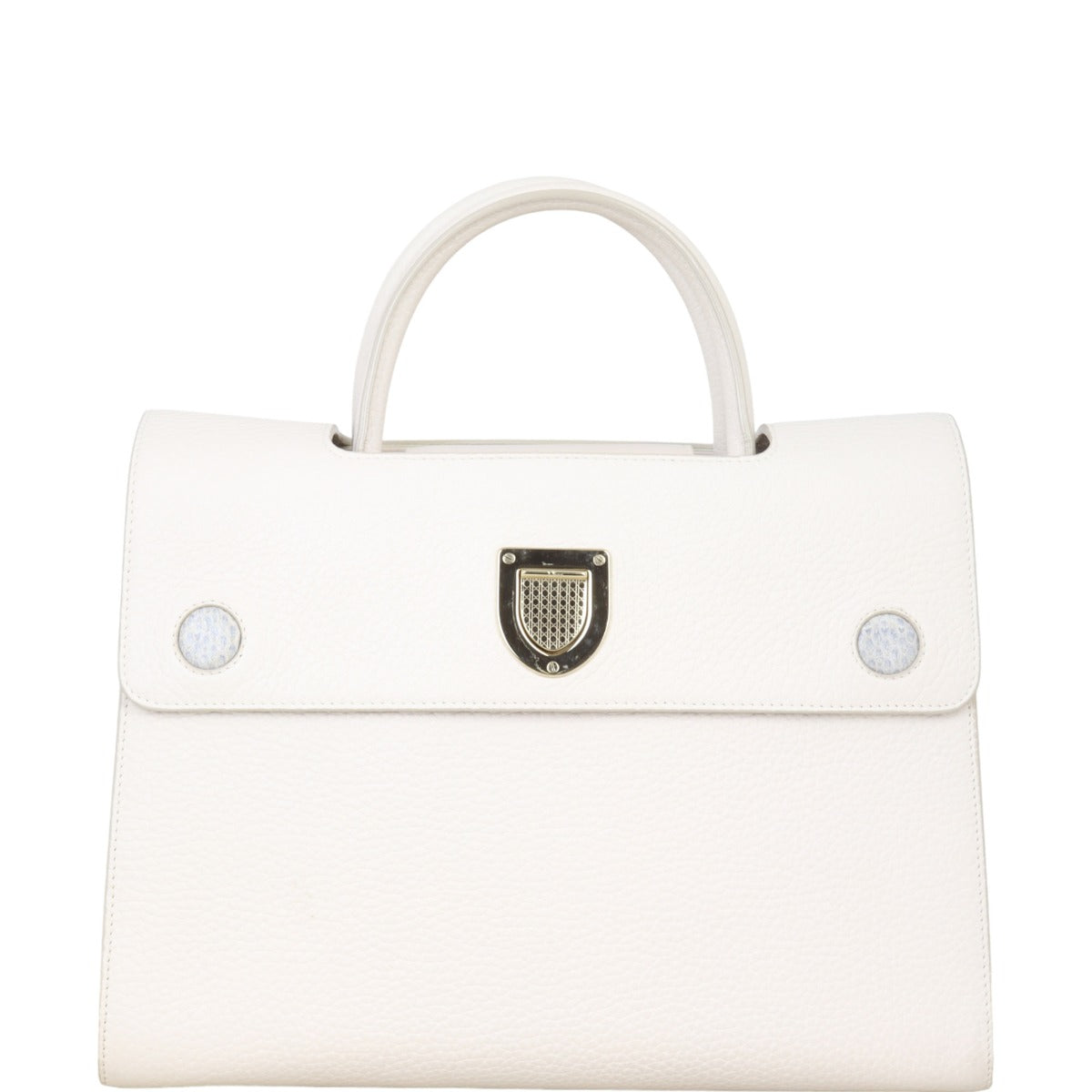 Dior ever Satchel Python Handbag Medium Travel Bag